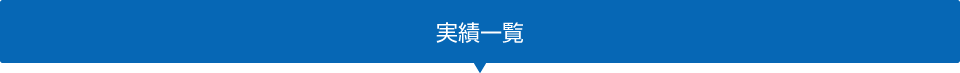 実績一覧